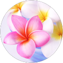 Ambrosia profile picture